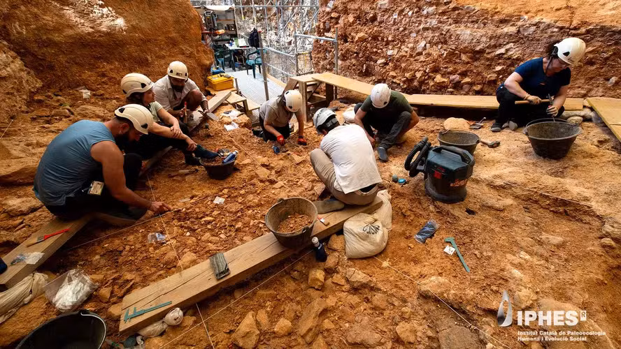 Nova descoberta na Espanha revela que ancestrais humanos praticavam canibalismo com adultos e crianças há 850 mil anos